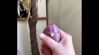 Gozada antes do trabalho