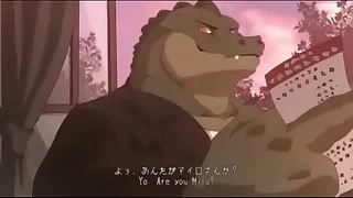 an aligators keep going to my house